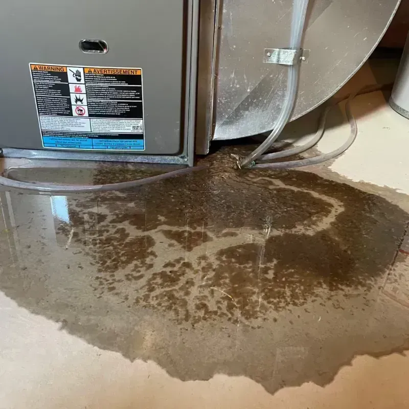 Appliance Leak Cleanup in Sunrise, FL